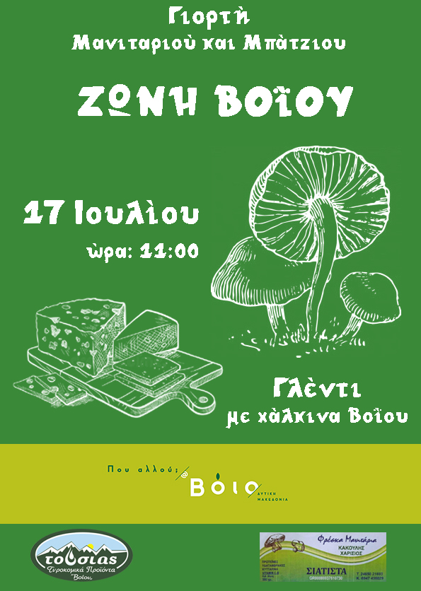 Αφίσα για Ζώνη Βοΐου100 copy