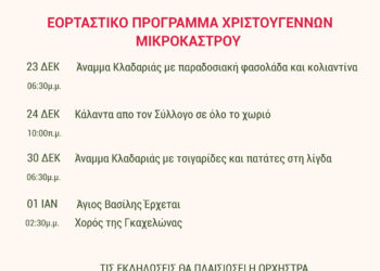 ΜΙΚΡΟΚΑΣΤΡΟ ΠΡΟΓΡΑΜΜΑ