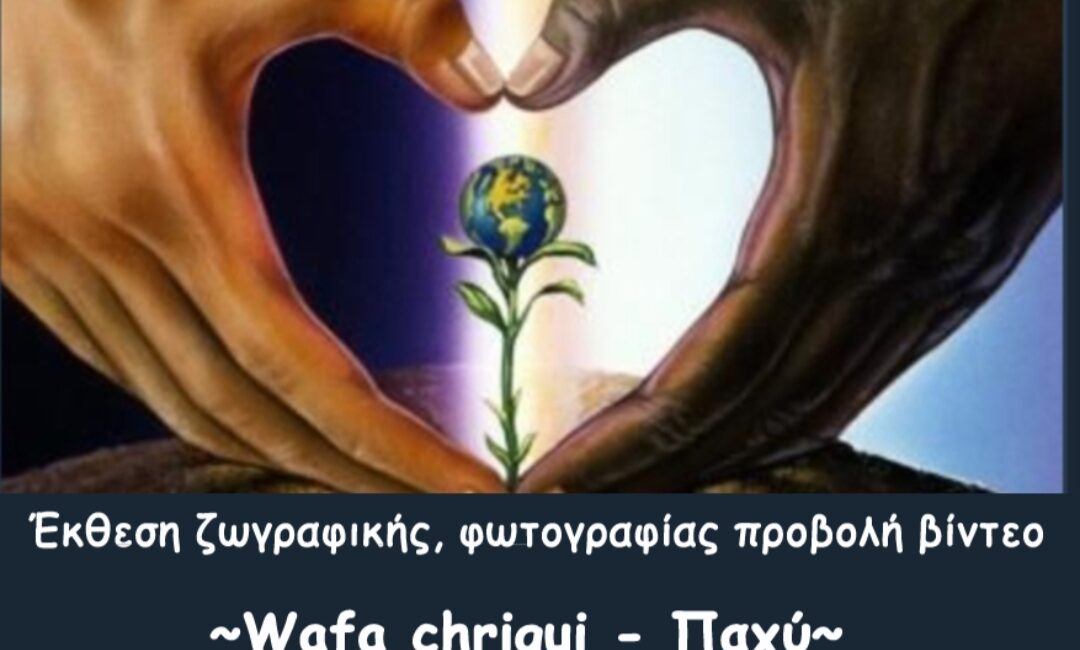 IMG 20230814 131347